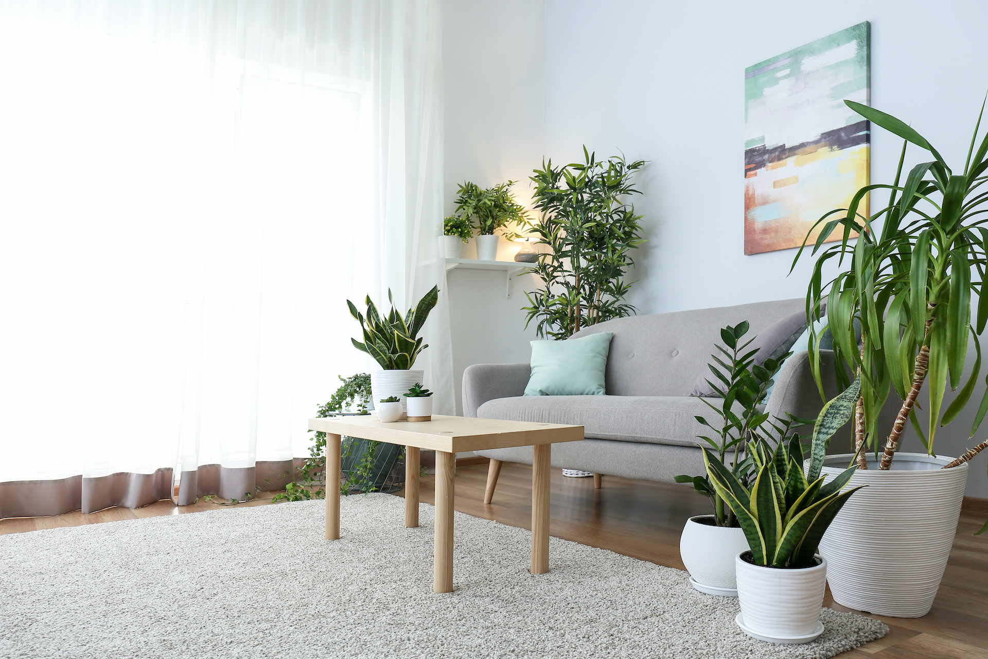 Salón de un apartamento de alquiler vacacional con muchas plantas