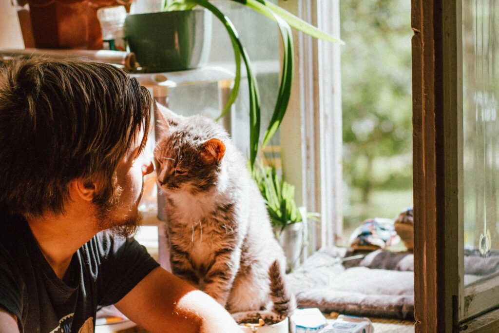 permitir mascotas en tu alojamiento sirve para marcar la diferencia