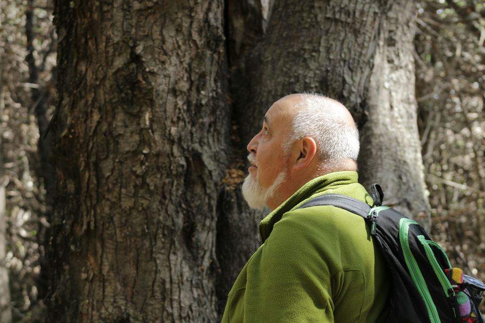 turista-senior-senderismo