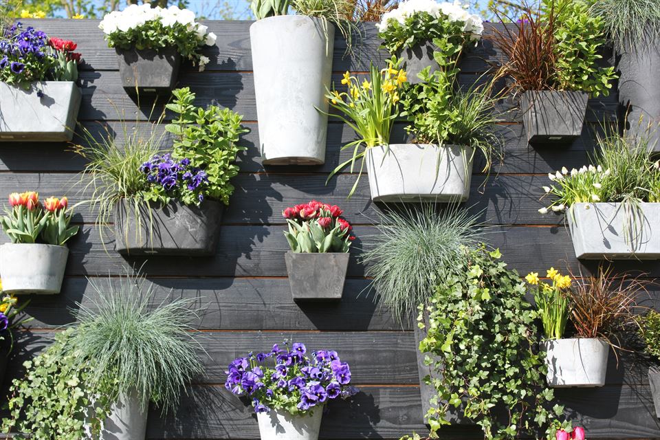 macetas-plantas-pared-jardín