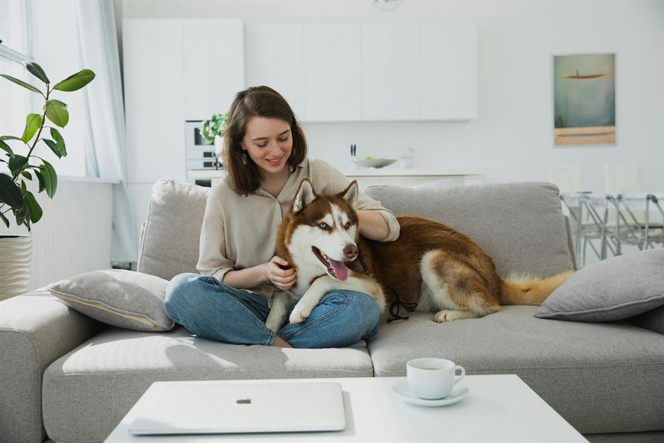 perro-dueña-sofa-alquiler-vacacional