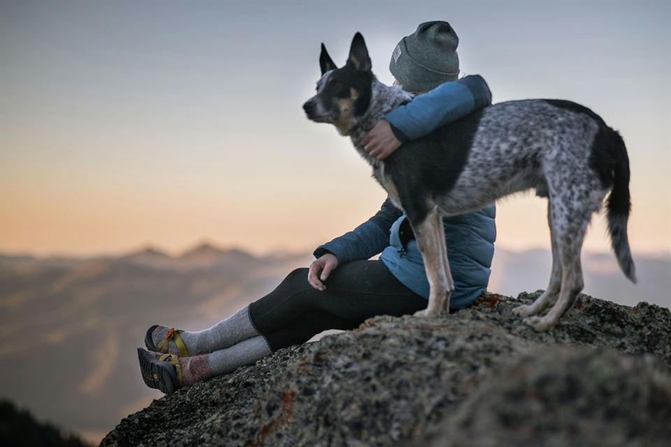 turista-senderismo-perro