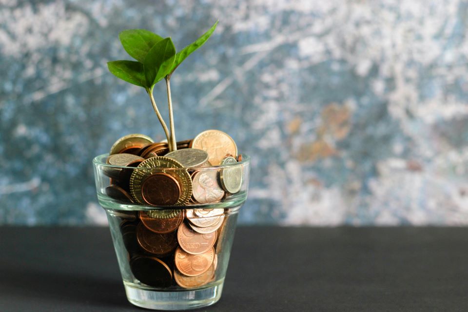 flor-en-una-maceta-plantada-con-monedas
