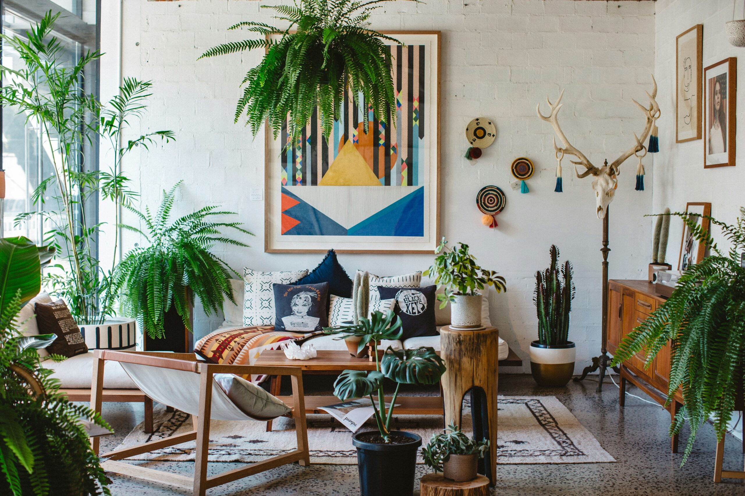 salon-con-muchas-plantas