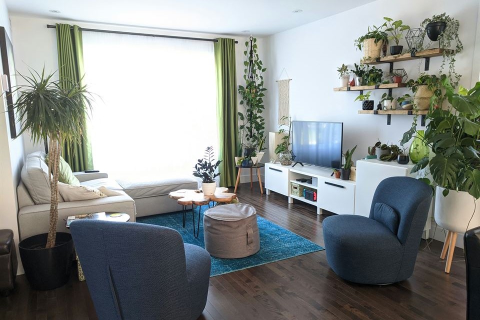 salon-vivienda-vacacional-plantas