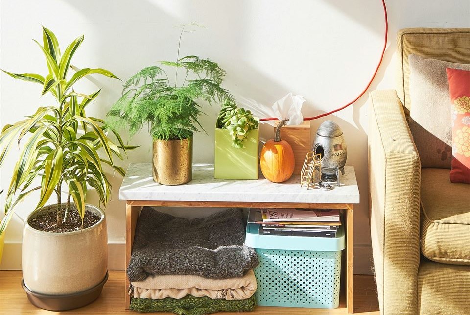 plantas-al-lado-sofa