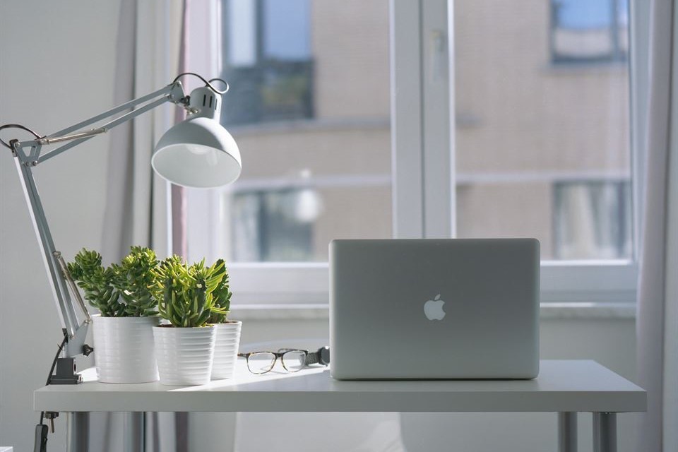plantas-al-lado-de-un ordenador-en-una-mesa-de-trabajo-en-casa