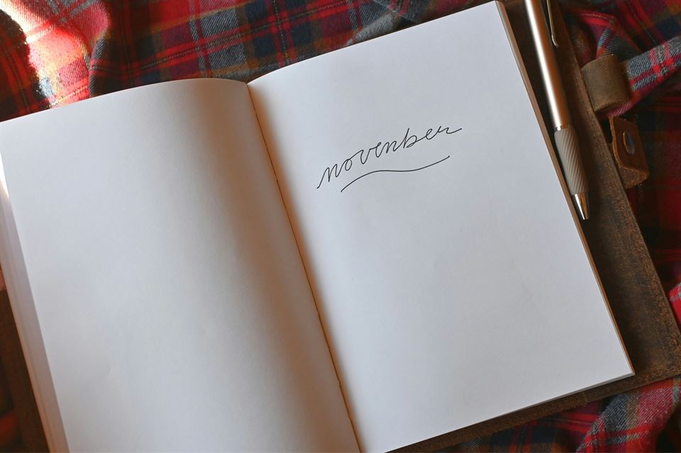 libro-palabra-november